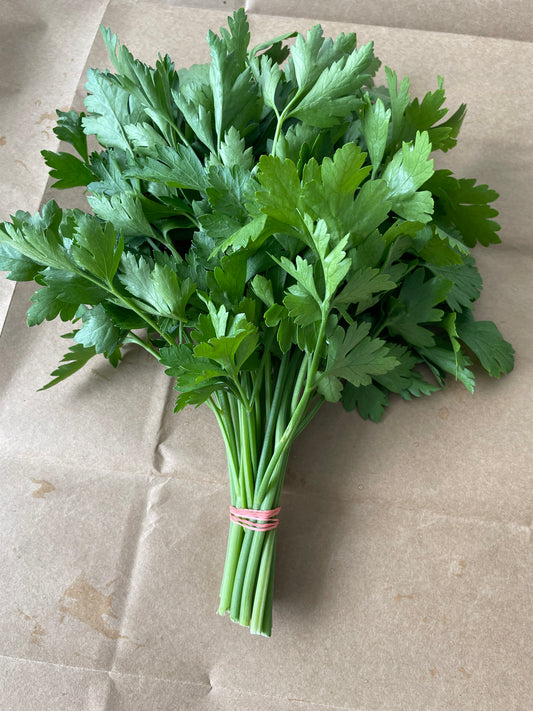 Parsley - bunch