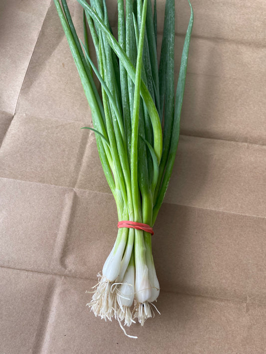 Scallions - bunch