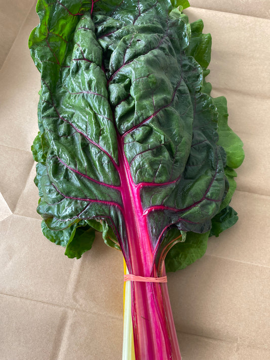 Chard, bunch