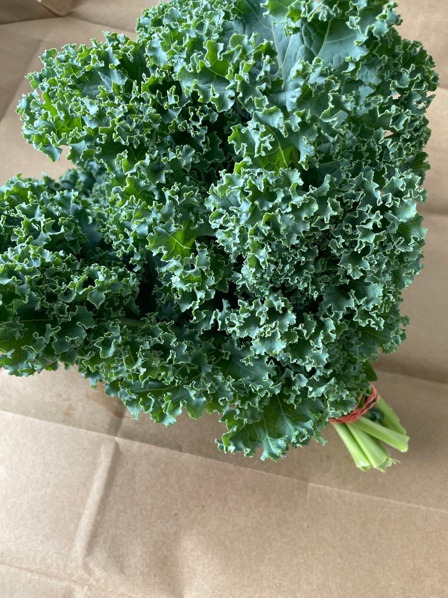 Kale, curly green - bunch
