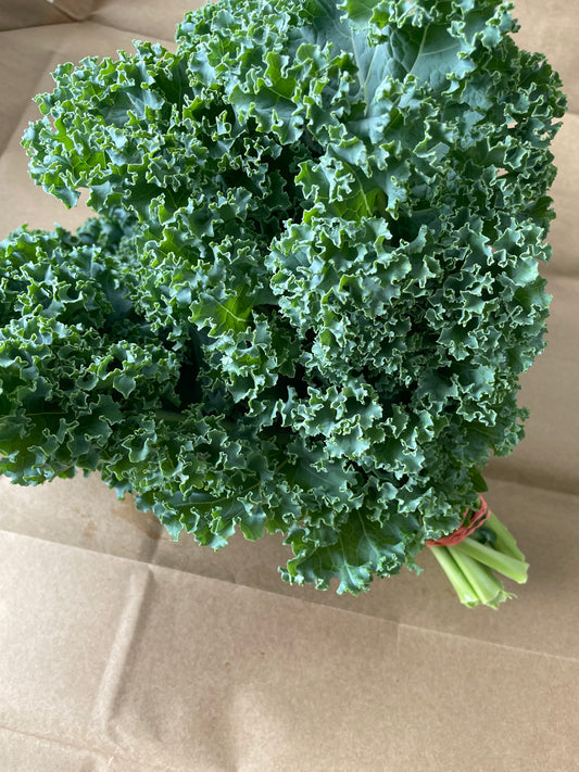 Kale, curly green - bunch