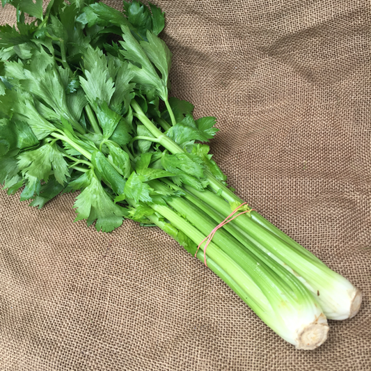 Celery
