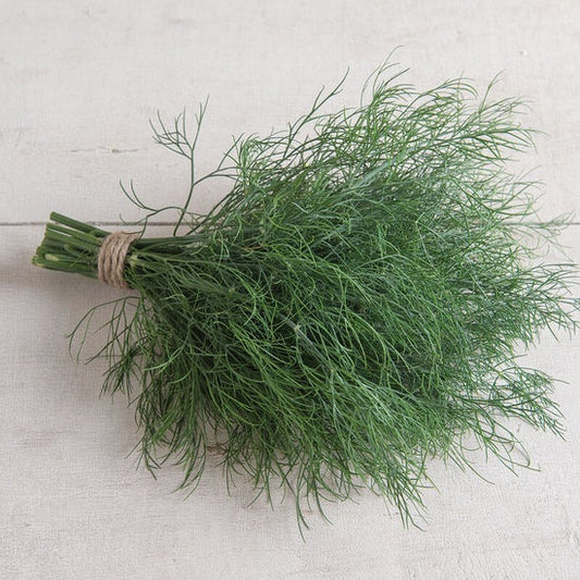 Dill, bunch