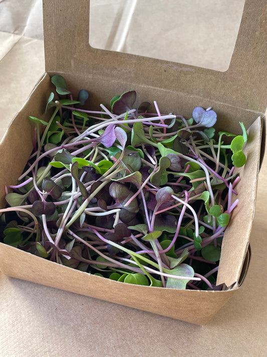 Micro mix, spicy - small box