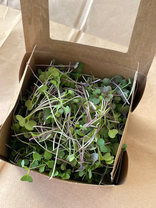 Microgreens - Mild