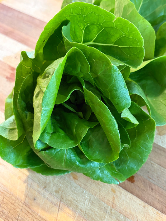 Little gem lettuce heads