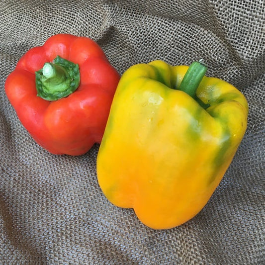 Sweet peppers -- bell peppers