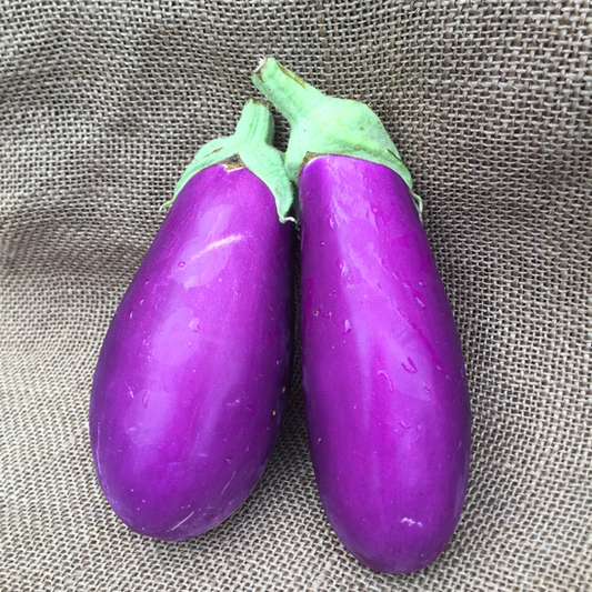 Eggplant, Italian