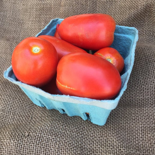 Tomato, Roma, per box